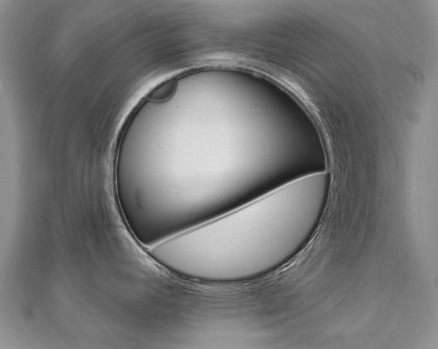 X0000112821392200908210951