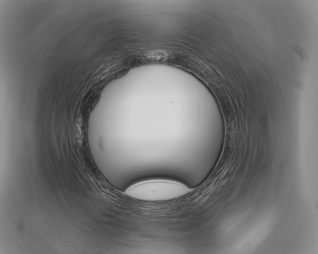 X0000112821394200908210950