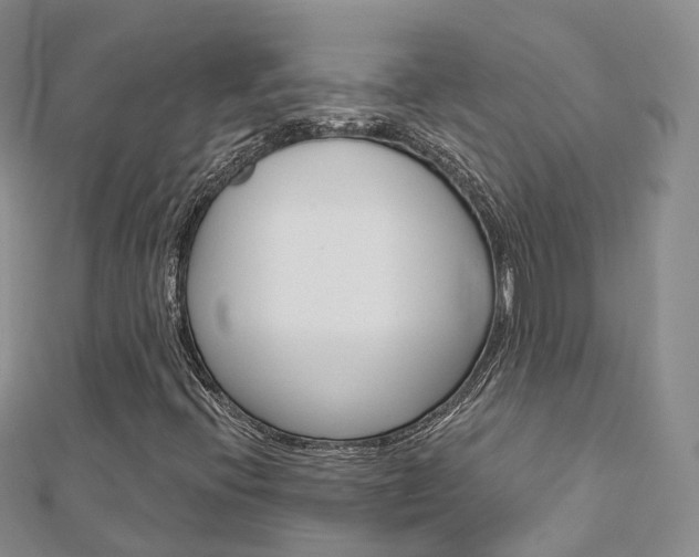 X0000112821396200908210950