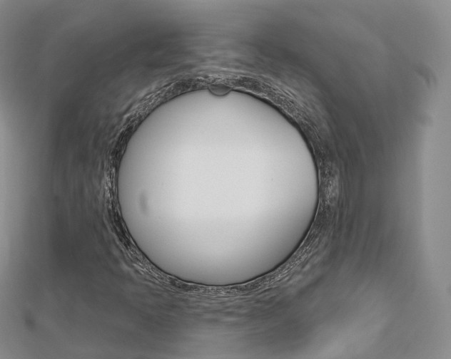 X0000112821397200908210950