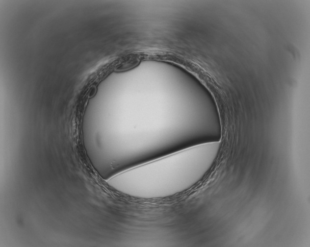 X0000112821398200908210950