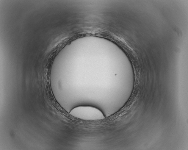 X0000112821399200908210950