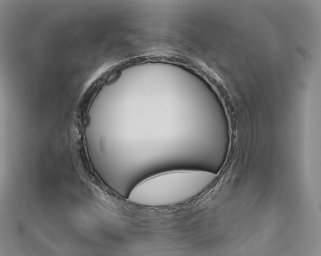 X0000112821400200908210950