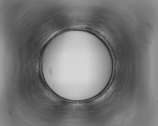 X0000112821401200908210950