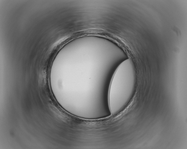 X0000112821402200908210950