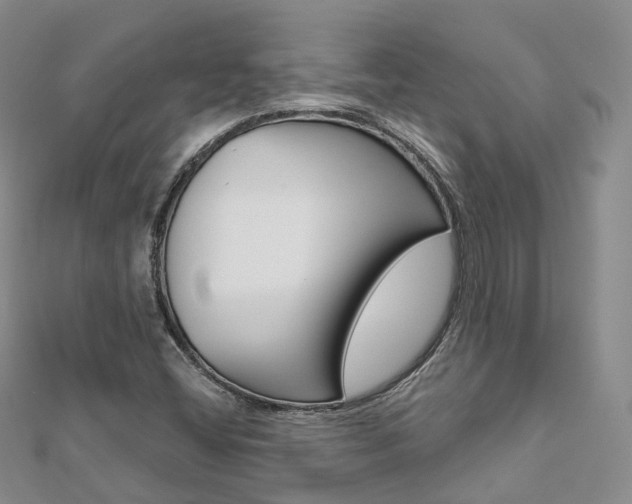 X0000112821404200908210950