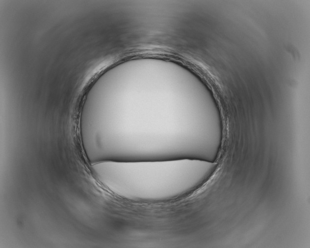 X0000112821405200908210950