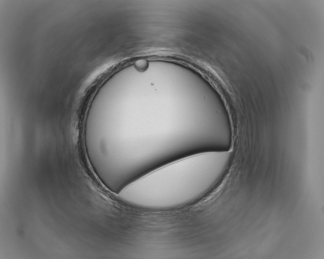 X0000112821406200908210950