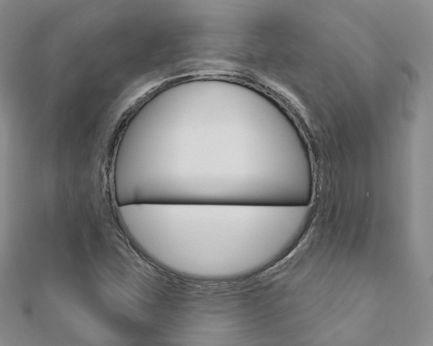 X0000112821407200908210950