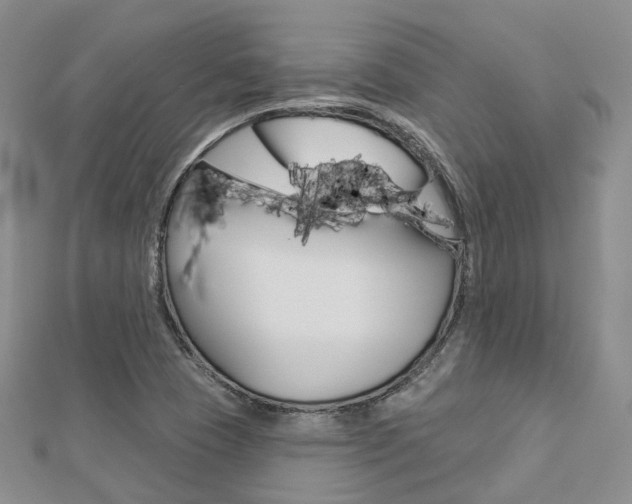 X0000112821409200908210950