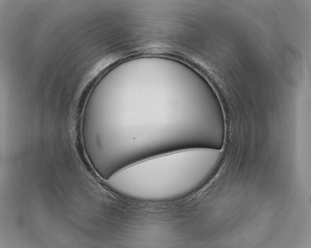 X0000112821410200908210950