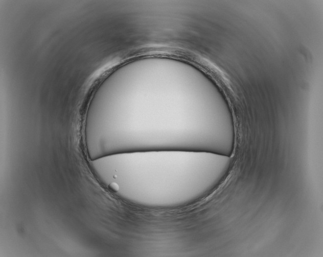 X0000112821411200908210950