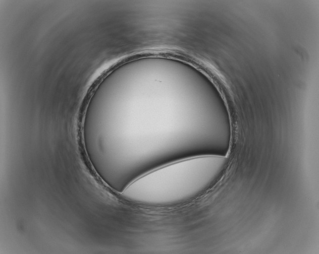 X0000112821412200908210950