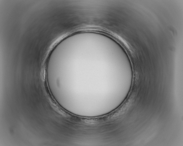 X0000112821413200908210950