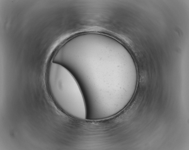 X0000112821414200908210950