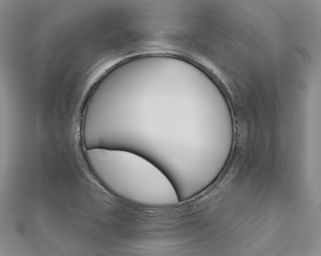 X0000112821415200908210950