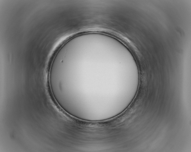 X0000112821416200908210950