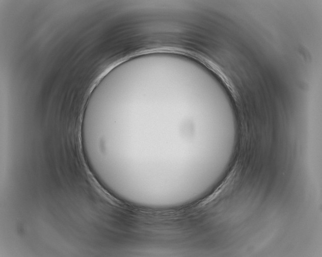 X0000112821417200908210950
