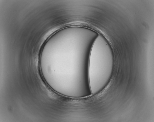 X0000112821418200908210950