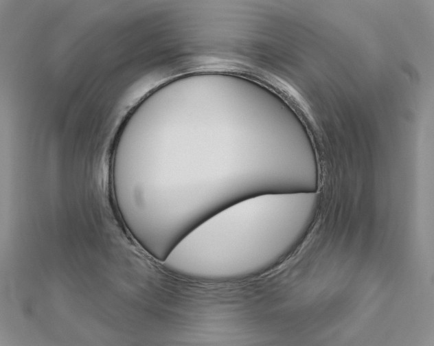 X0000112821419200908210950
