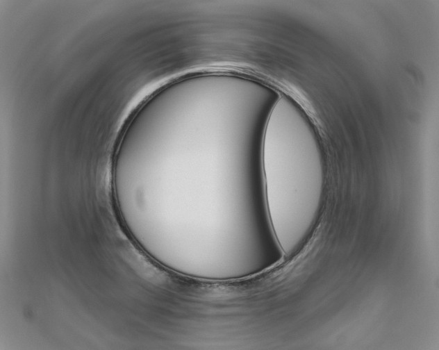 X0000112821420200908210950
