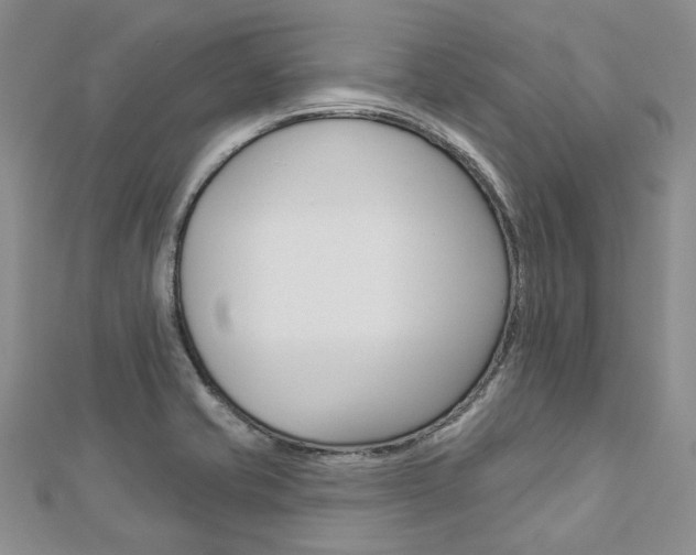 X0000112821421200908210950