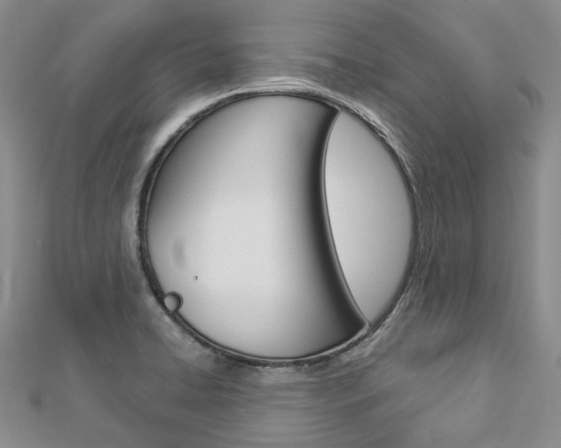 X0000112821422200908210950