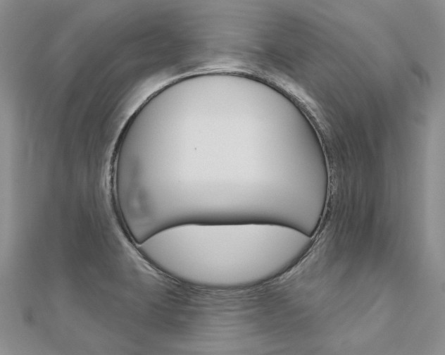 X0000112821423200908210950
