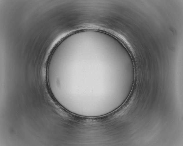 X0000112821424200908210950