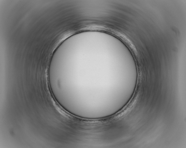 X0000112821425200908210950