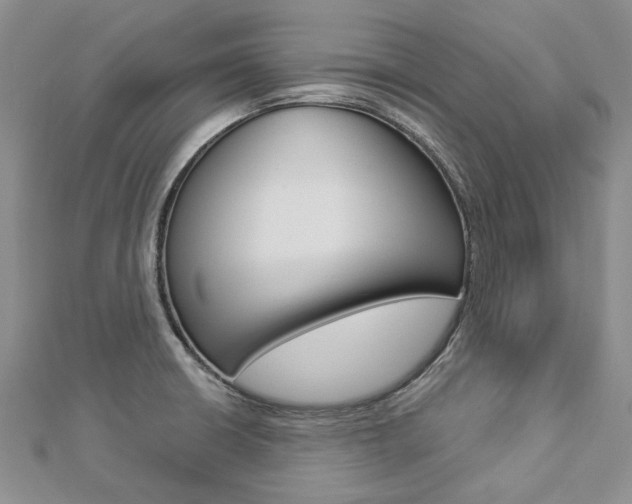 X0000112821426200908210950