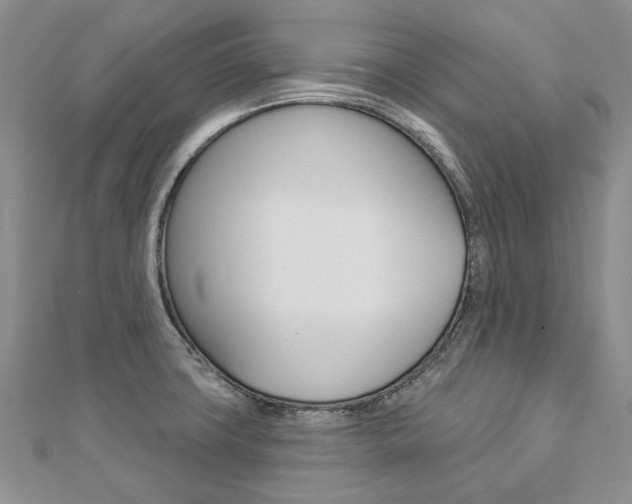 X0000112821427200908210951