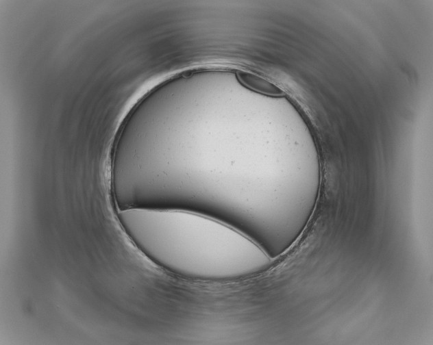 X0000112821428200908210951