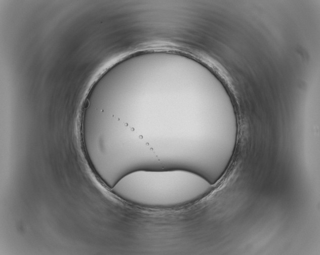 X0000112821429200908210951