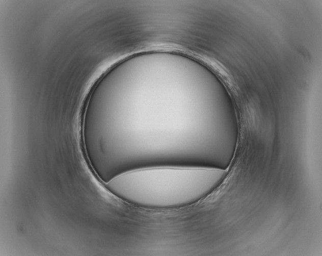 X0000112821430200908210951