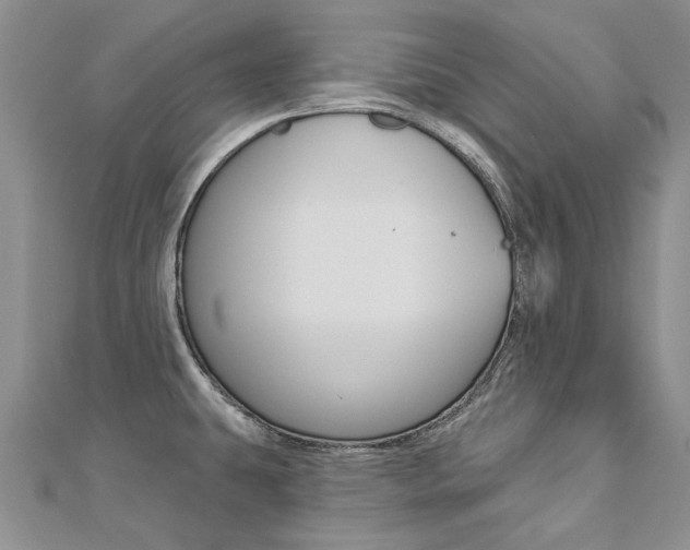 X0000112821431200908210951