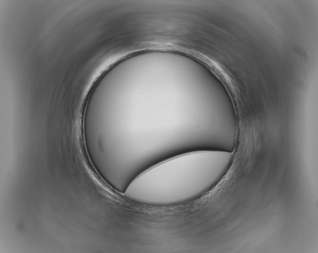 X0000112821432200908210951