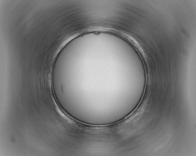 X0000112821433200908210951