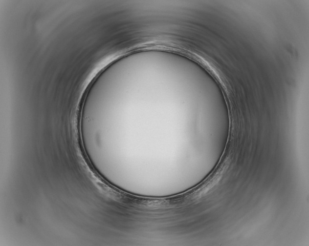 X0000112821434200908210951