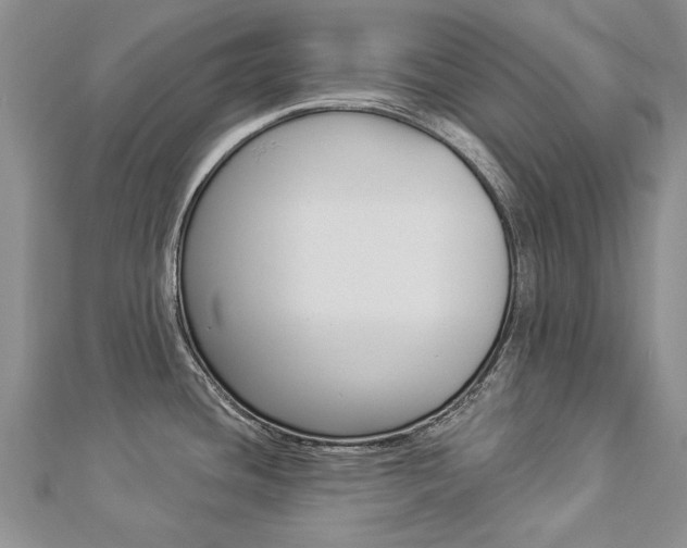 X0000112821436200908210951