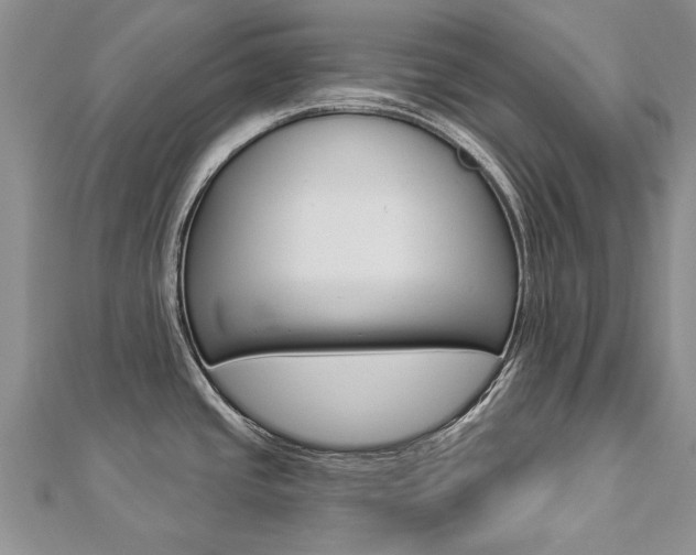 X0000112821437200908210951