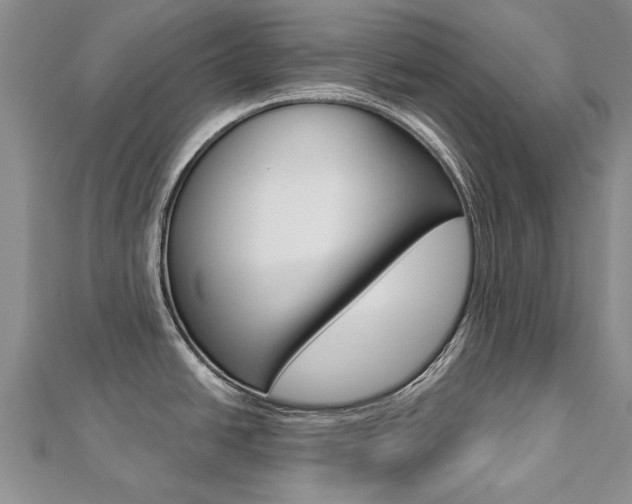 X0000112821438200908210951