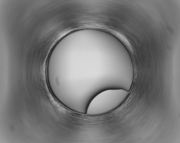 X0000112821439200908210951