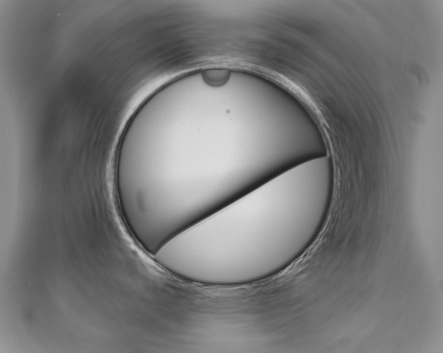 X0000112821440200908210951