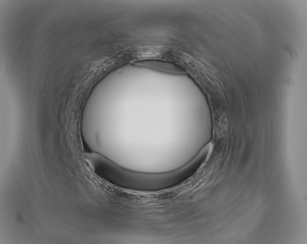 X0000112821441200908210950