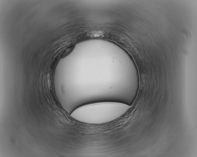 X0000112821442200908210950