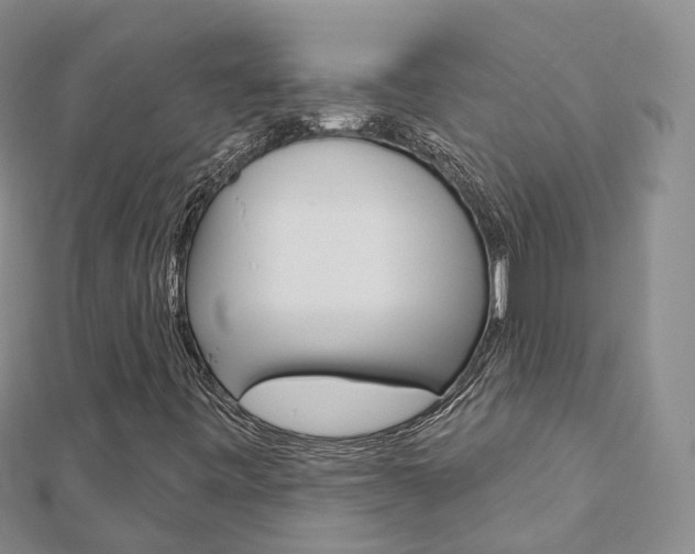 X0000112821443200908210950