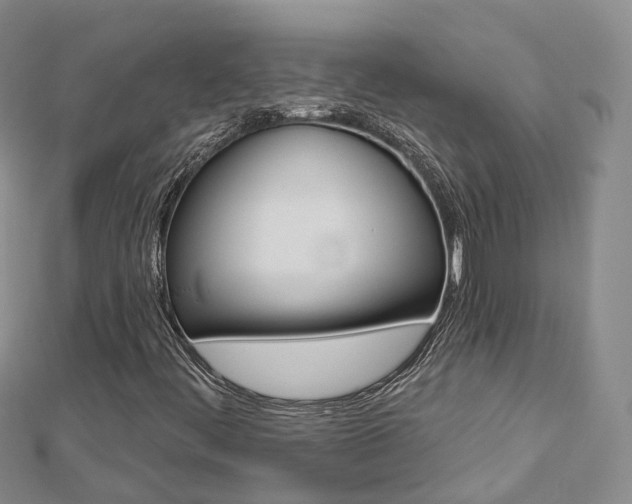 X0000112821444200908210950