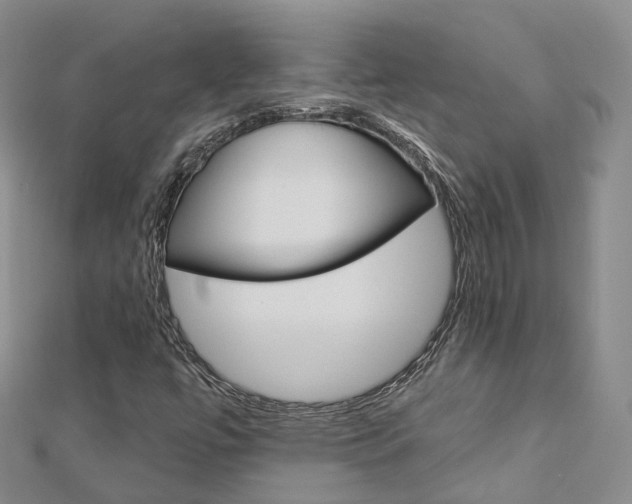 X0000112821447200908210950
