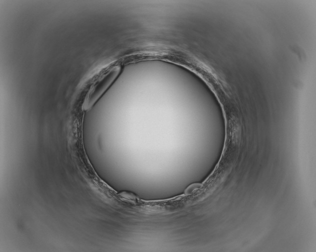 X0000112821448200908210950